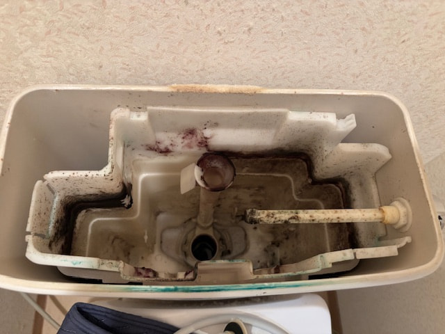 在庫が試された日