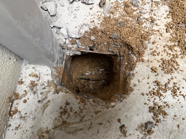 初日から全開モード