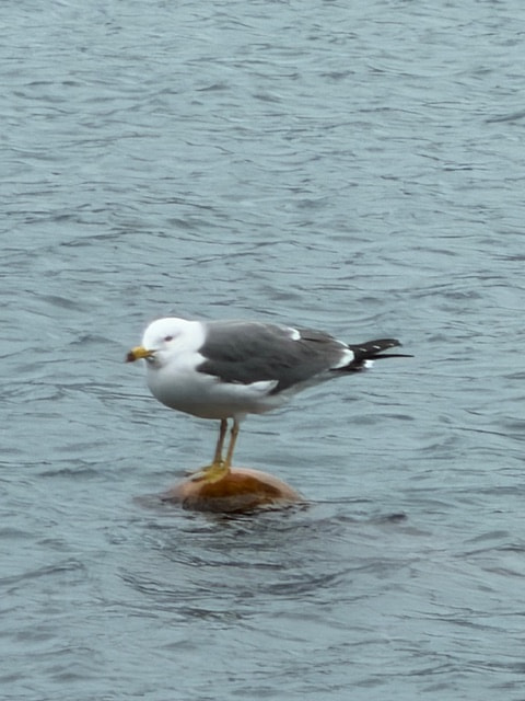 備えあれば・・・