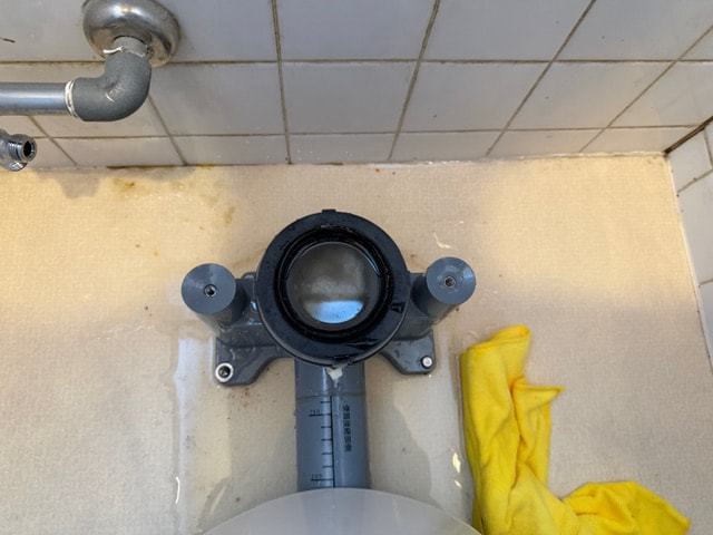 ボンテンの限界