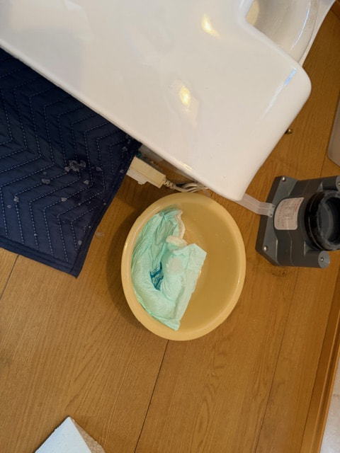 今日もかいな・・・