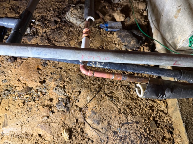 今日もドタバタ