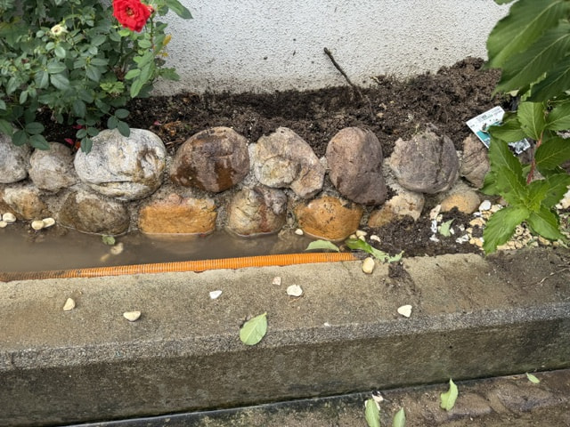 15時から超本気
